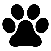 Animal Causes - Support Store