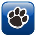 Custom Pet Magnets - Support Store